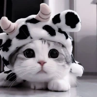 ~°{cookie}°~