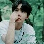 hobi