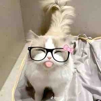 เต้ย