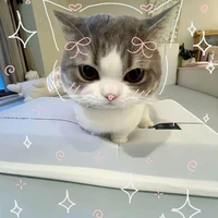 แอดอัน/หนิง