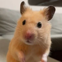 แอดเองง