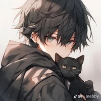 Noha