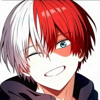 shoto todoroki
