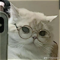 แอดแอ๊ด~~