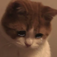 แอดเองง