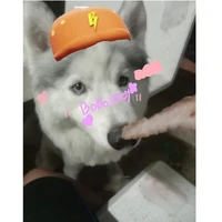 แอดเอง