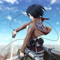 mikasa
