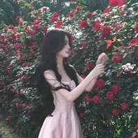 มิเชล