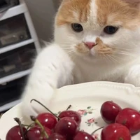 𝙿__𝙿𝚛𝚊𝚎🍐