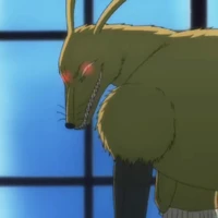 suami magis