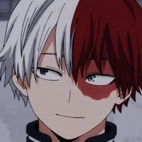 Shoto Todoroki|Alfa.S.P.D|