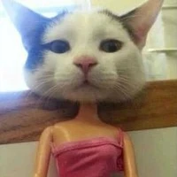 แอด