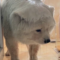 :0