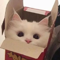 เมก้า