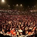 fans/crowd