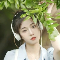 jia li
