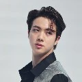 Kim Seokjin ( Jin )