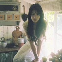 ใบเฟิร์น