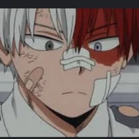 todoroki