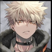 katsuki bakugo(18) D.D.P