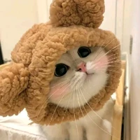 Author cantik
