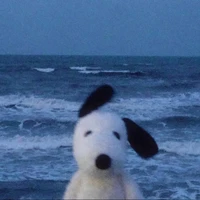 Mr