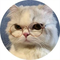 Author 🏳️‍🌈