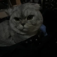 ไรท์เองนะคะ❤️