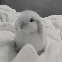 ฌ๊ง