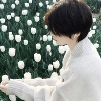 บูมเมอร์(นอ)