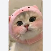 ไทเกอร์//นอ.☁️