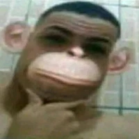 ลิงวัด