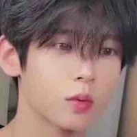 ลี่เพื่อน(น.อ)