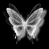 Butterfly Gang