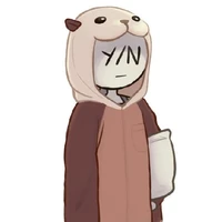 Y/N