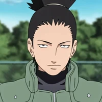 Shikamaru Nara Delta.D