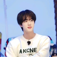 Seokjin (O.P)