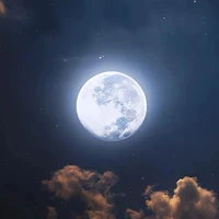 ผู้แต่ง