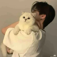 เดสต้าร์​ เพื่อน​ น.อ