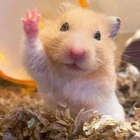 เเอดเองง