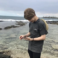 จีแซล