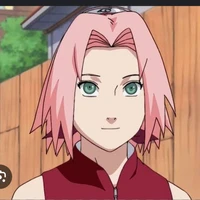 sakura /alfa Dominante/