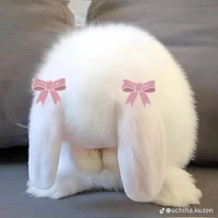 มนุษย์ทุกคน