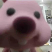 แอดเองทุกคน