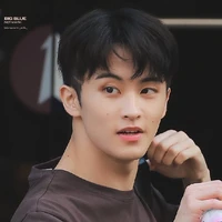 lee mark