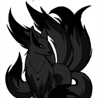 ryki