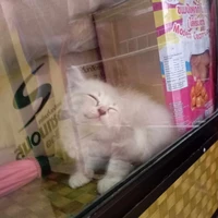 คนเเต่งเองคะ