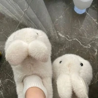 jan