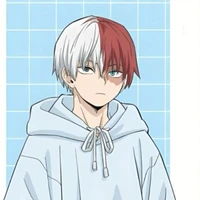 Shoto Todoroki