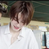 ม่านหมอก